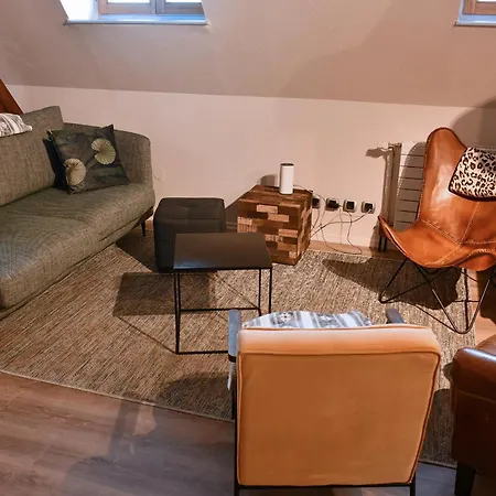 Beraweka Avec Parking, Climatisation Et Salle De Sport Lägenhet Colmar