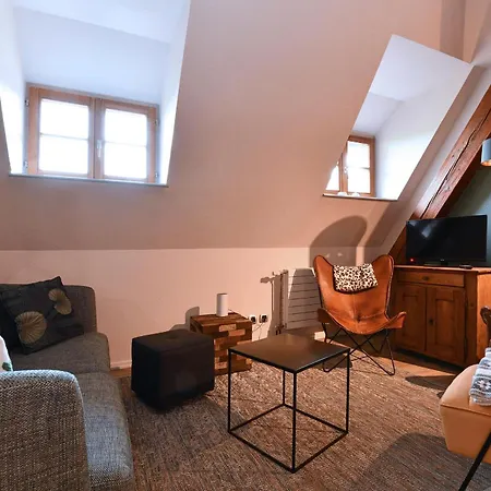 Lägenhet Beraweka Avec Parking, Climatisation Et Salle De Sport Colmar