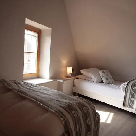 Apartament Beraweka Avec Climatisation Et Salle De Sport Colmar