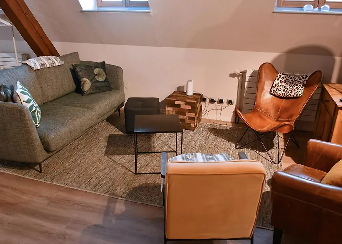 Beraweka Avec Parking, Climatisation Et Salle De Sport Apartamento Colmar