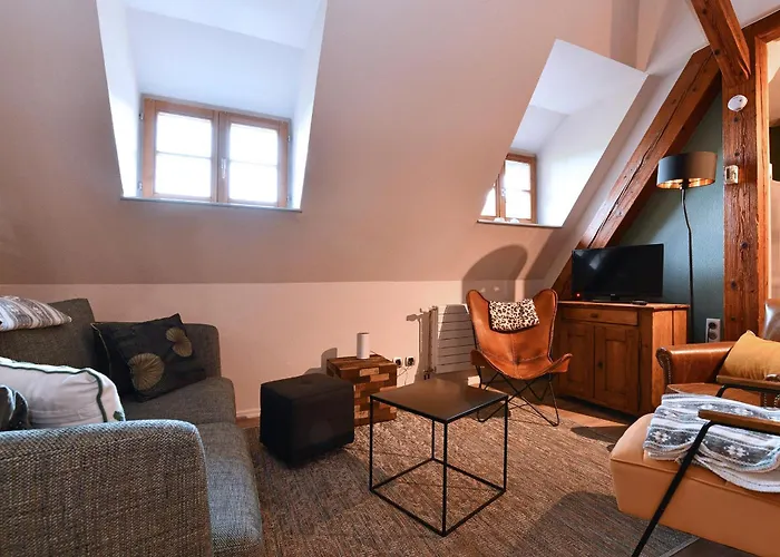 Appartement Beraweka Avec Parking, Climatisation Et Salle De Sport Colmar