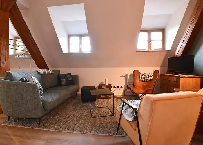 Beraweka Avec Parking, Climatisation Et Salle De Sport Apartamento Colmar