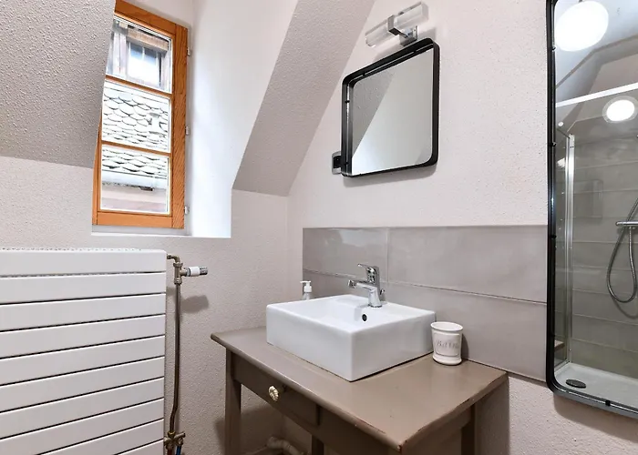 Beraweka Avec Parking, Climatisation Et Salle De Sport Colmar