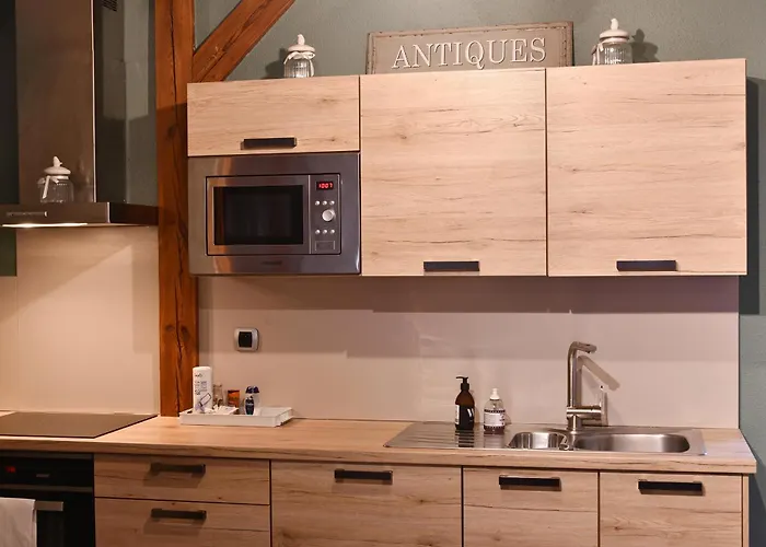 Beraweka Avec Parking, Climatisation Et Salle De Sport * Colmar