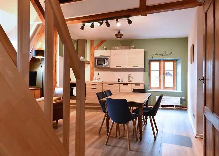 Appartement Beraweka Avec Parking, Climatisation Et Salle De Sport Colmar